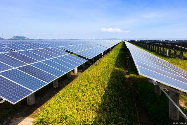 Complementation of agriculture and light